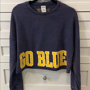 University of Michigan Pink Victoria’s Secret